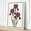 Irises in Violet Botanical - Wrapped Canvas-40885937-40885943