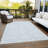 Machine Washable Indoor/Outdoor Claudian ACN1462 Sky Rug-103006302