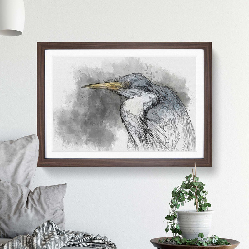 Pied Heron - Picture Frame Graphic Art Print, 27cm H x 36cm W x 2cm D, Walnut Framed