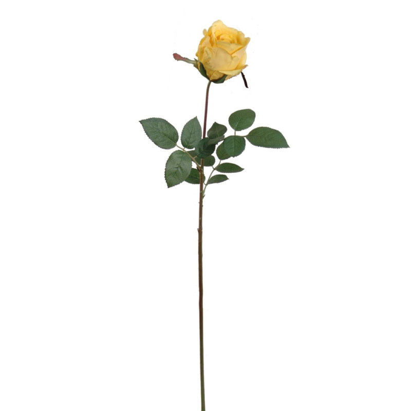 Tige de roses, Rouge, 24