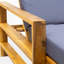 Chaise longue d'extérieur en bois massif avec coussin-2098858972