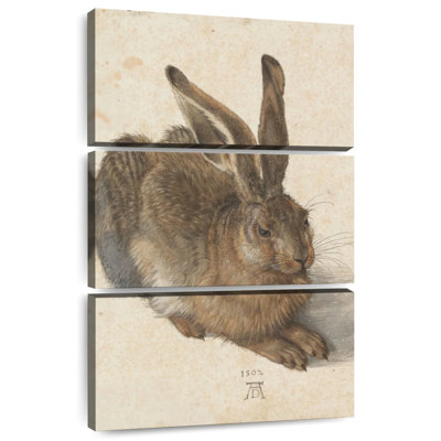 Young Hare