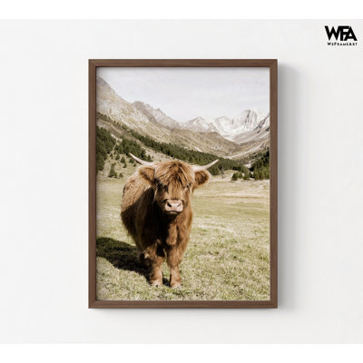 Yak Photography Wall Print, Framed Highland Cow Photography, Animal Wall Art, Yak Printed Wall Art, Framed Wall Art, Oversized Wall Art