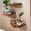 Creger 3 Piece Half Round Acacia Solid Wood Floating Shelf with Live Edge
