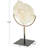 Abdinajib Polystone Textured Coral Decorative Sculpture with Bronze Stand