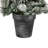 Plant-123757005