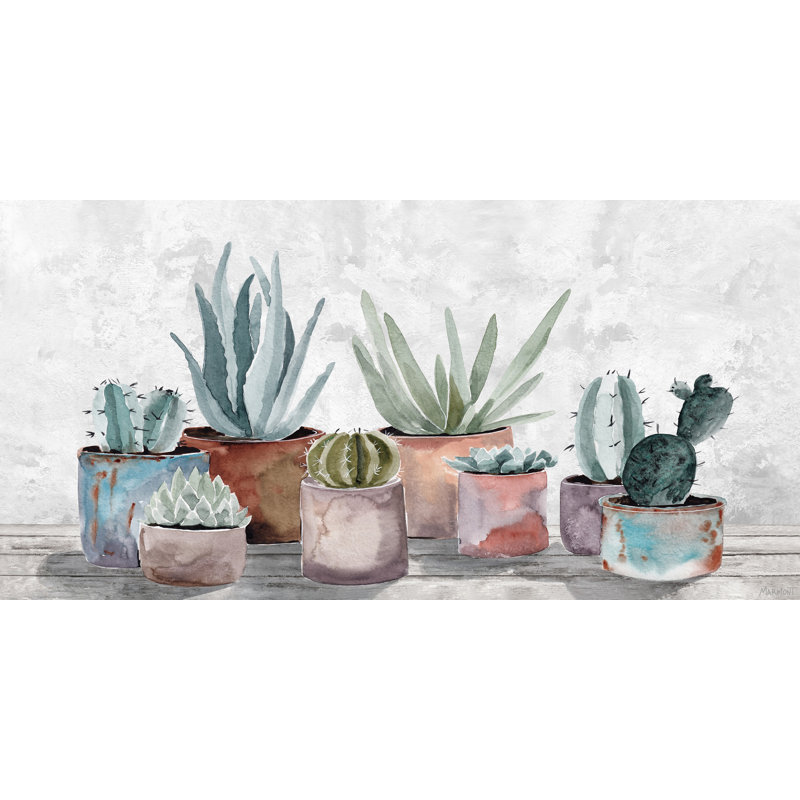 Healthy Succulents by Latitude Vive - Wrapped Canvas Painting, 76cm H x 152cm W x 3.81cm D
