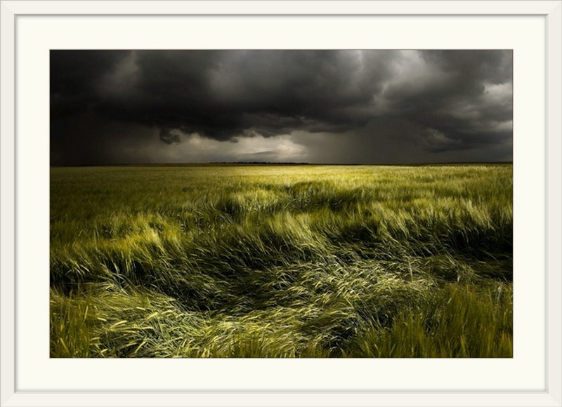 «Straub Summer Weather» par Franz Schumacher - reproduction de photo, H 20 po x l 26 po x P 1 po, Cadre blanc