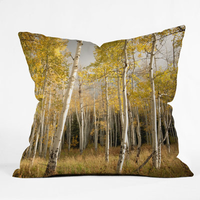 Aspen Throw Pillow