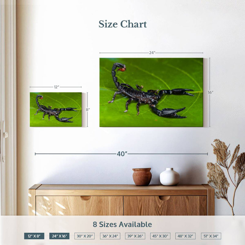 Crowle Forest Scorpion, 16" H x 24" W