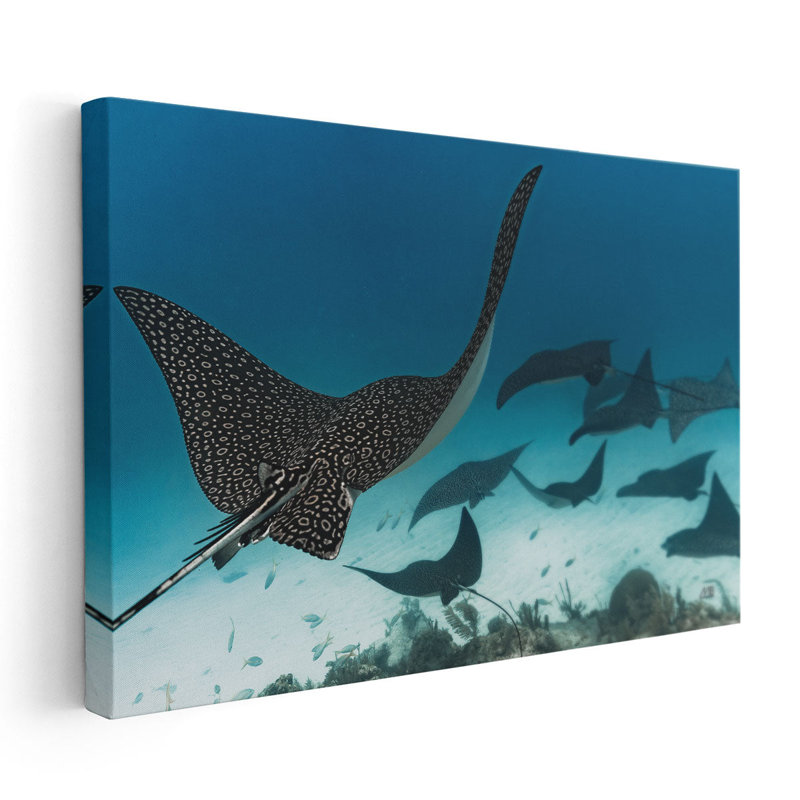Ray Day I - reproduction d'art sur toile, H 20 po x l 30 po