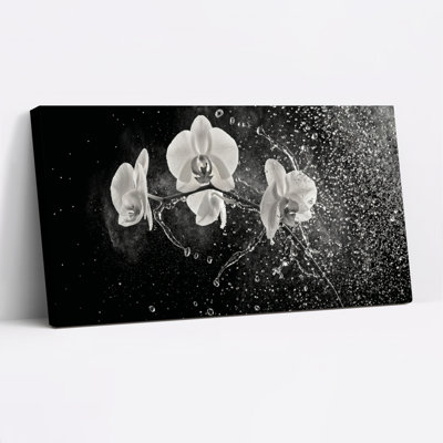 Orchid Splash Canvas Wall Art Oil Painting Print Set Of 1
