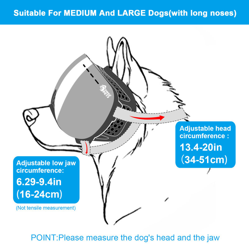 Promenade magnétique et remplaçable pour chien