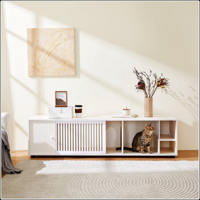 Meuble télé avec rangement et porte coulissante amovible Furniture