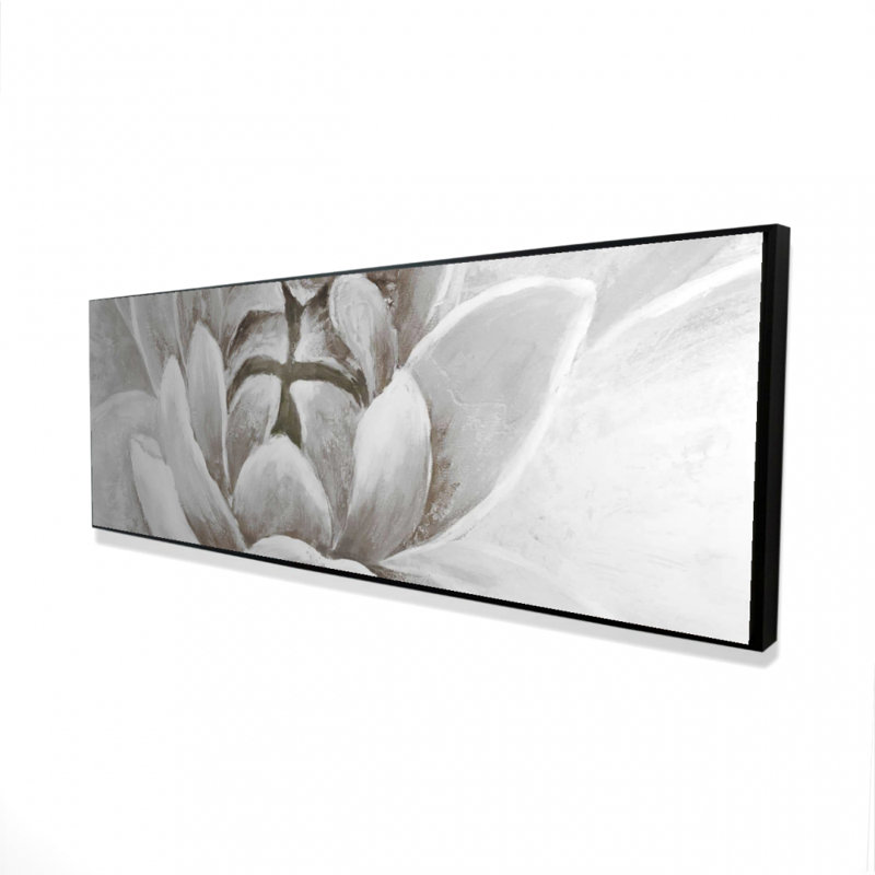 " Delicate White Chrysanthemum "