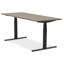 Adjustable Standing Desk-591470964-591470953