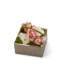 Orchids Floral Arrangement in Planter