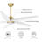 Chanille 5-Blade Solid Wood Ceiling Fan with LED Light and Remote Control-1492052468-1492052469-1492052466