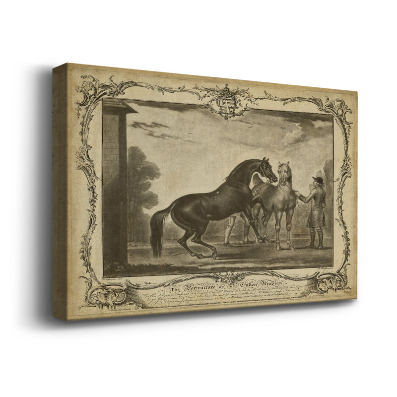 Distingué chevaux III - impression sur toile tendue, H 18 po x l 27 po x P 1,5 po