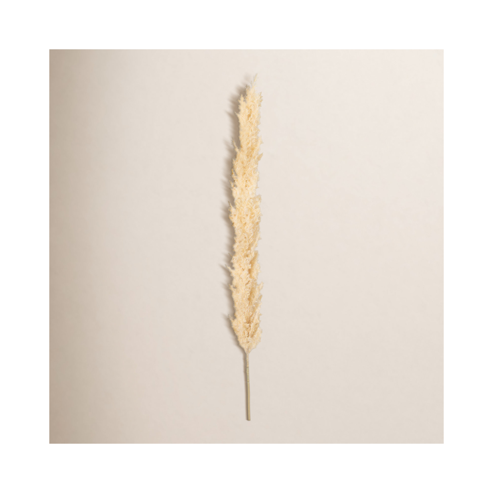 Madie Plume Stems, Off-White