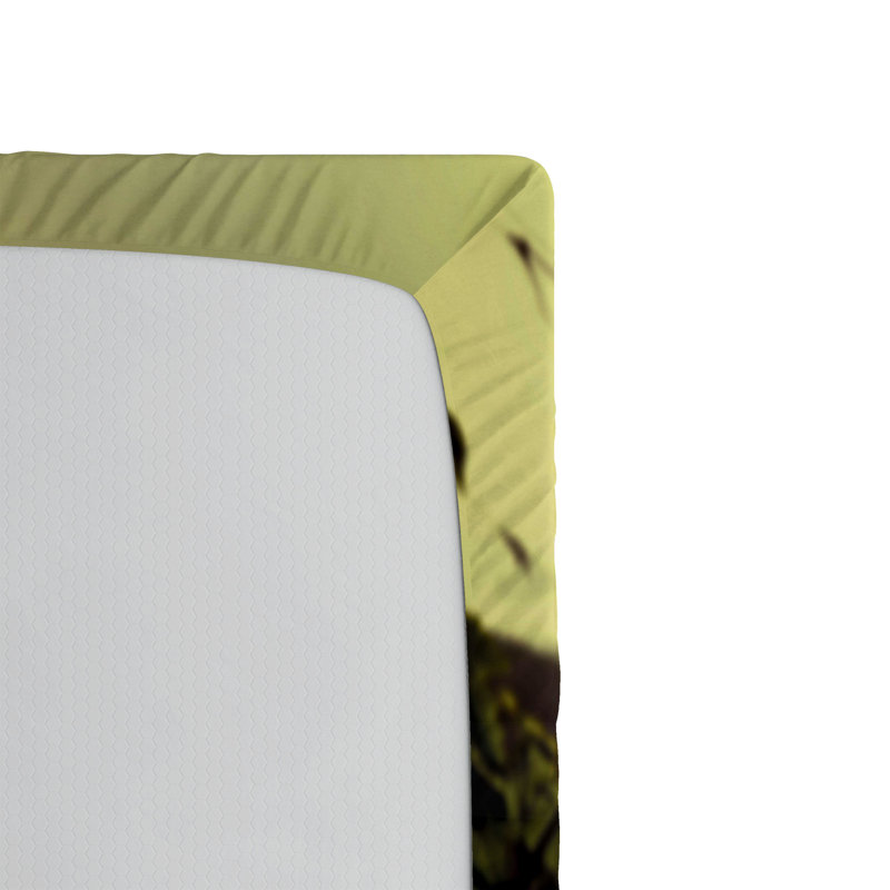 Ensemble de 2 draps-housse Ambesonne, California King Fitted Sheet