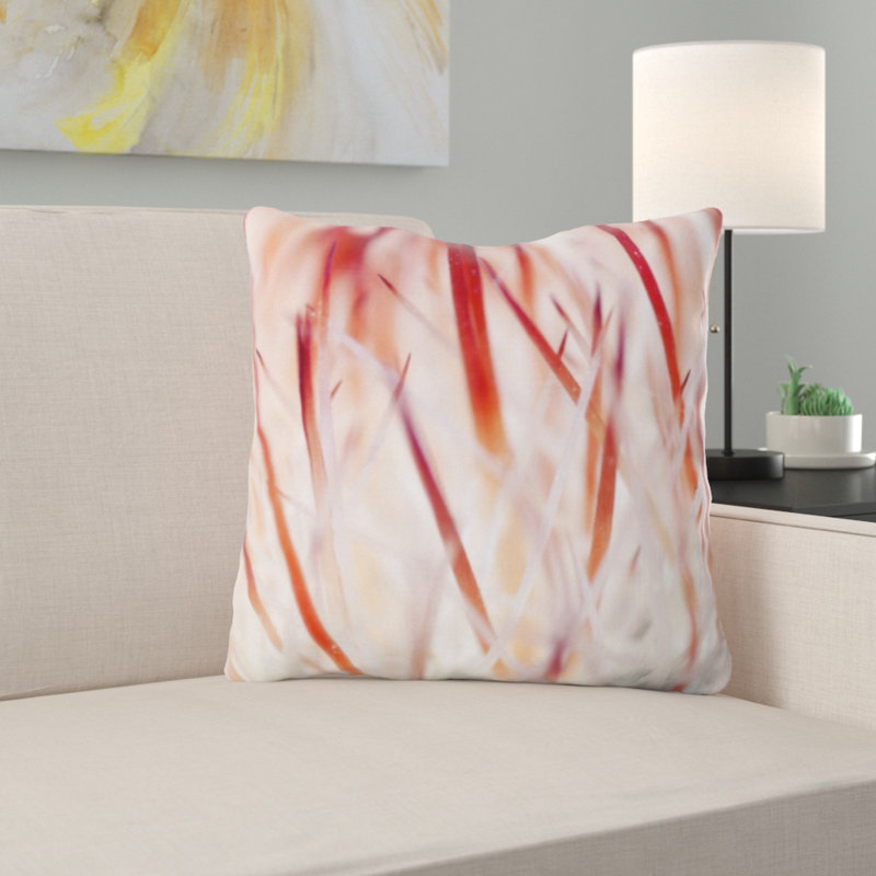 Coussin cactus
