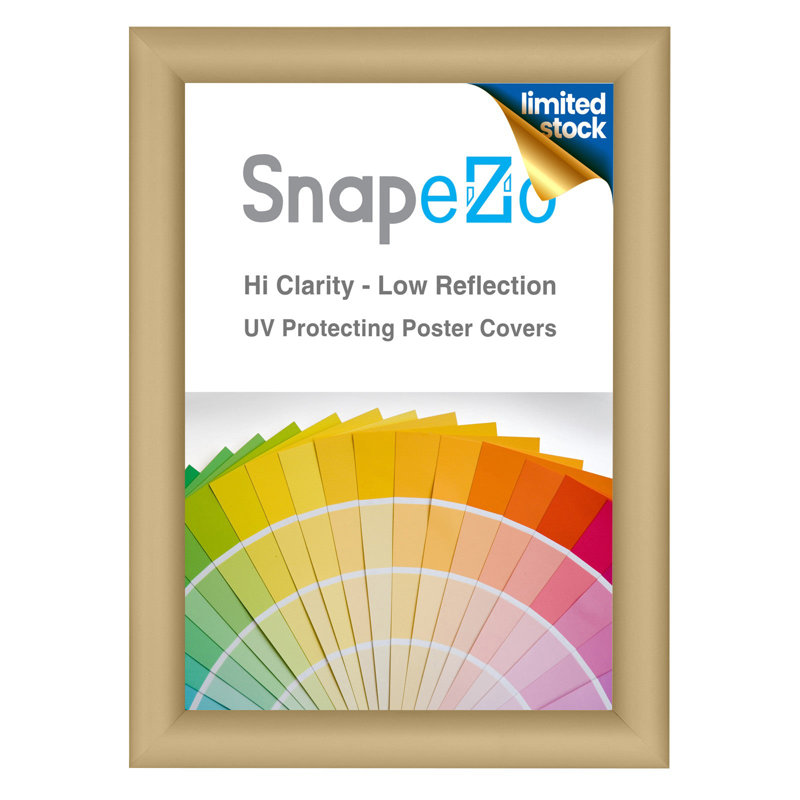 Cadre photo en métal Sleek Series, L 8,3 po x H 11,7 po, Or