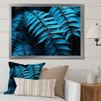 Ferns Turquoise Whimsy I - imprimé