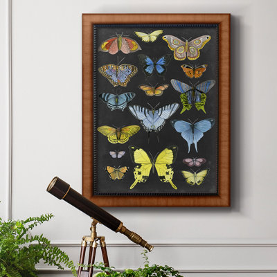 Toile encadrée de qualité graphique avec papillons taxonomiques II - prête à être accrochée
