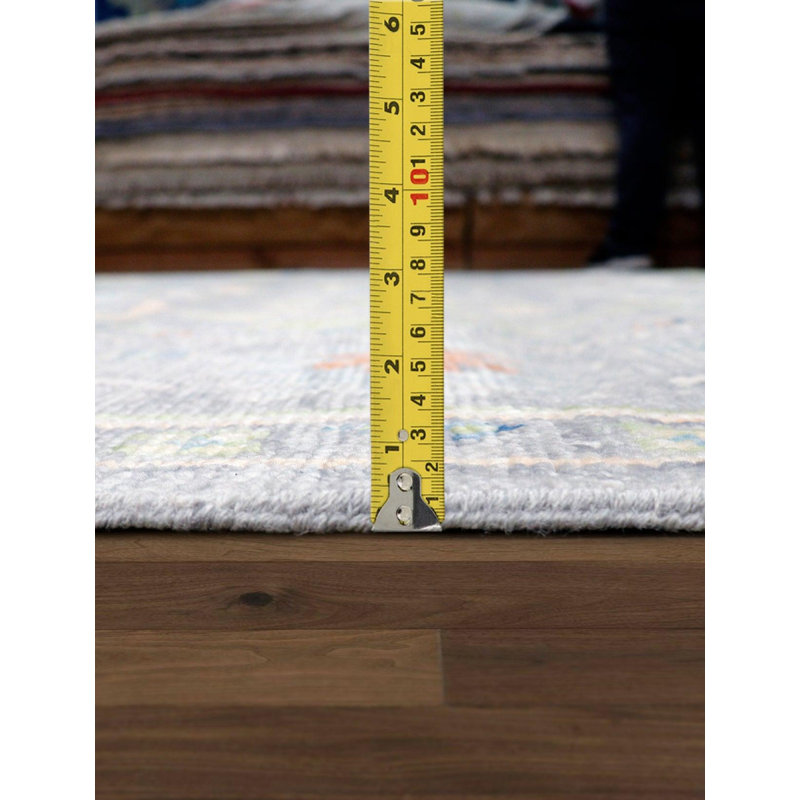 Oriental Area Rug in Gray
