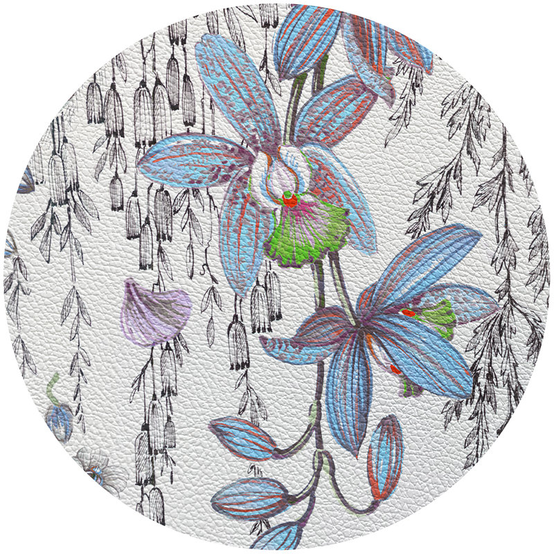 Orchid Pangea Placemat Set, Blue