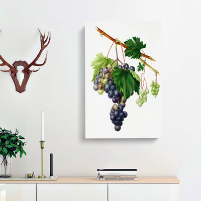 Grape Vine From Ischia by Giorgio Gallesio - Wrapped Canvas