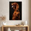 Setter irlandais Brampt-108484697