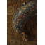 Coussin en polyester La Maman-120842641