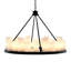 24 - Light Chandelier