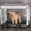 Caisse pour animaux-97966506