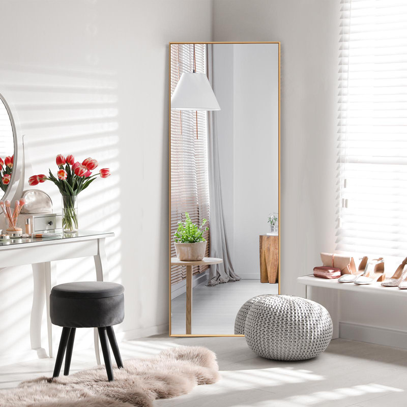 Machutte 59” L x 22” W Aluminum Wall Mirror, Gold