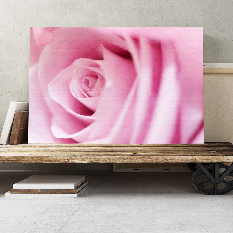 Flower Pink Rose Photographic - Wrapped Canvas, 50cm H x 76cm W
