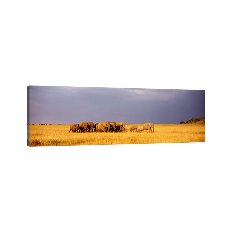 Elephant Herd, Maasai Mara Kenya - Wrapped Canvas Panoramic Print, 152.4 cm H x 50.8 cm W x 1.91 cm D