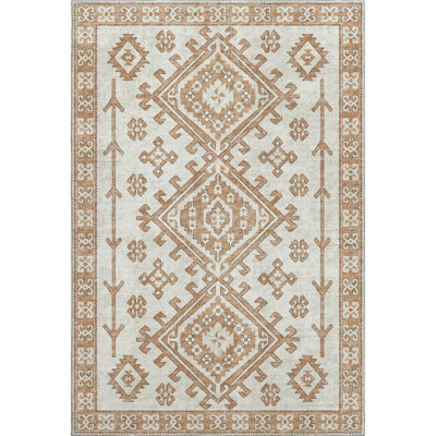 Premium Machine Washable Driessen AMF73 Canyon Rug