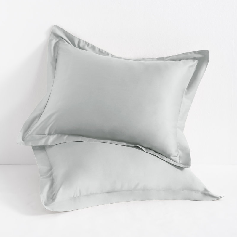 Taies d'oreiller carrées en satin de coton égyptien de qualité supérieure (500 fils/cm²) - NTBAY, Euro, Gris clair