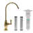 Polished Brass