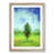 Oak Framed selected