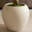 Olive artificielle H 96 po avec pot de fleurs blanc Ashwell