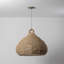 Lechlan 1 Light Pendant-1333587802