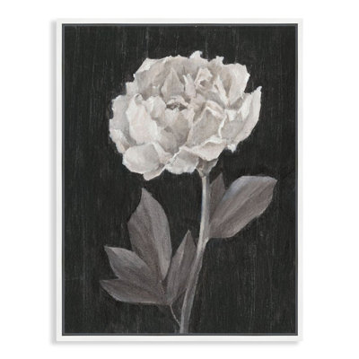 «Anemone Posy I» par Popp Grace - reproduction encadrée sur toile