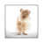 White Framed is unavailable