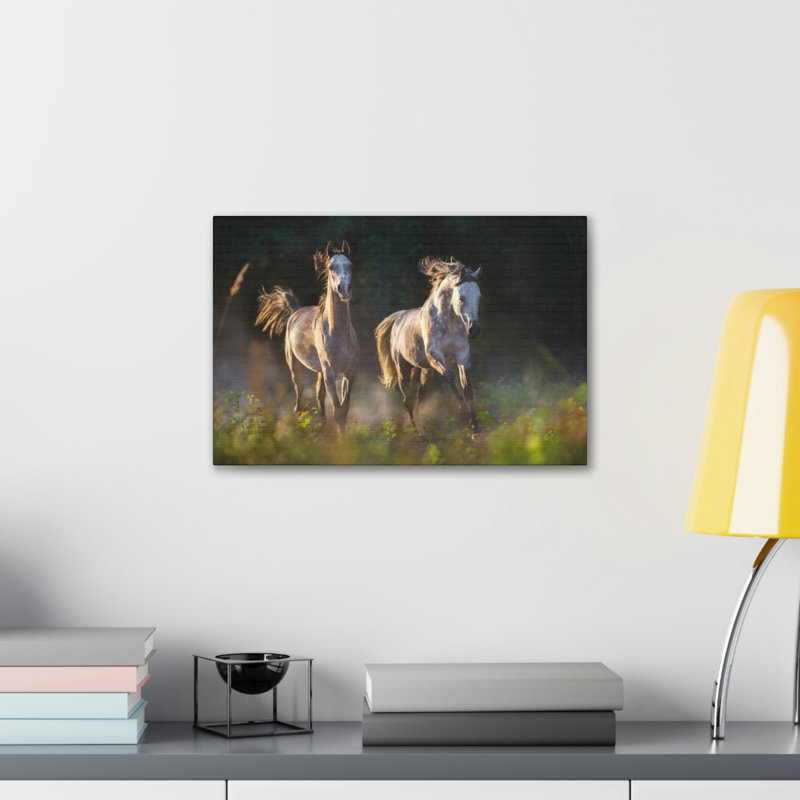 «Arab Horse Couple», impression d'art animalier, H 12 po x l 18 po