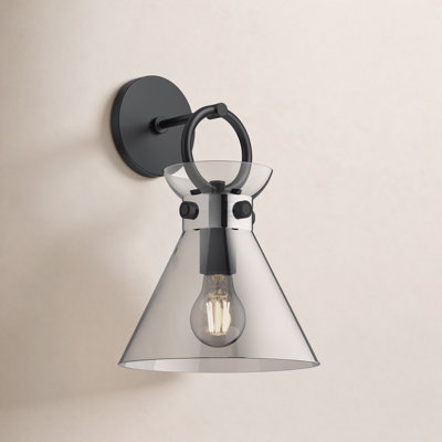 Tiney Single Light Dimmable Armed Sconce