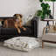 Pets Square Pillow Cover & Insert-67456237